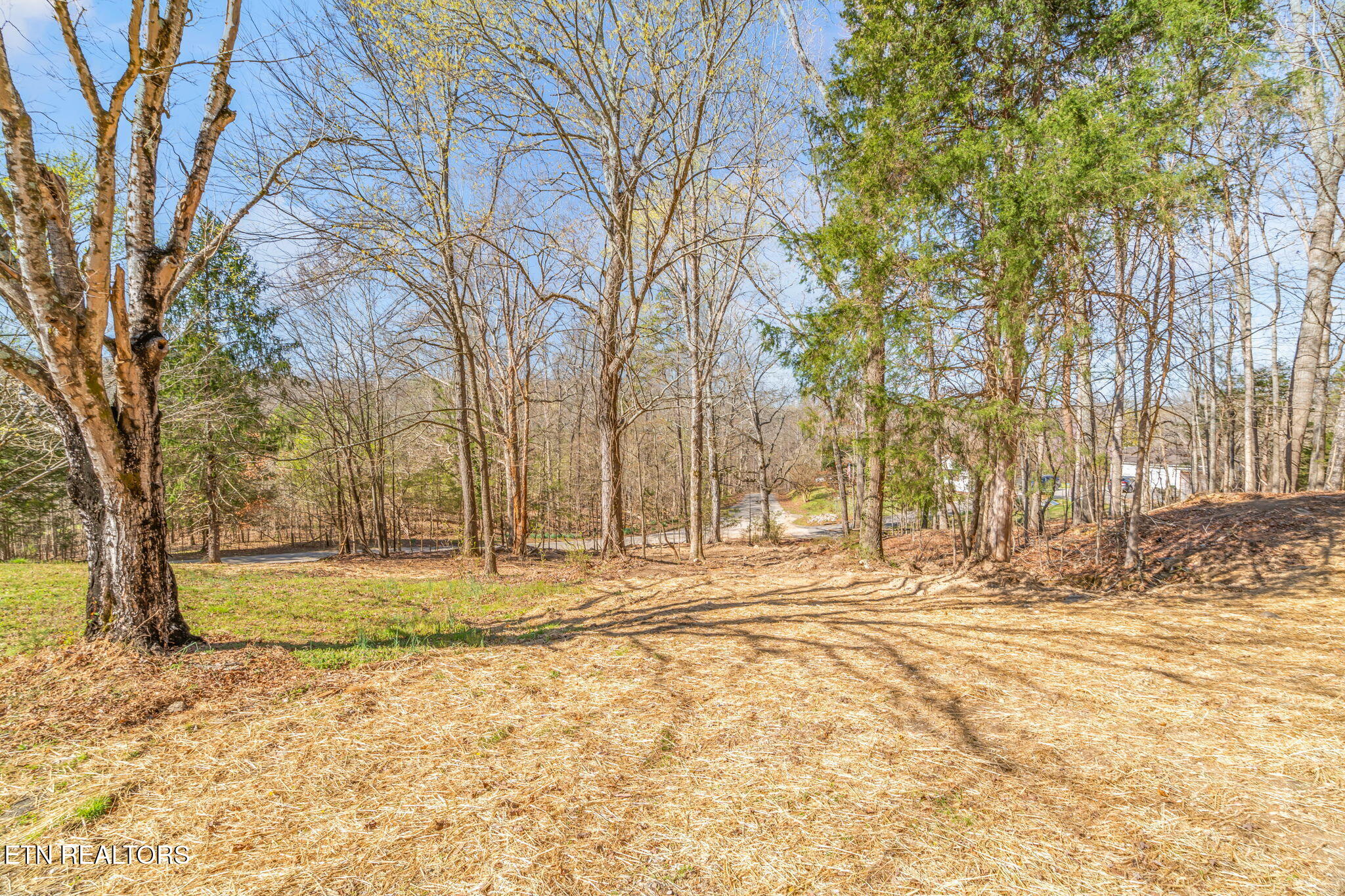 434 Pattie Gap Road Philadelphia, TN 37846 - Photo 10 of 59 10-web-or-mls-420 Pattie Gap Road-10