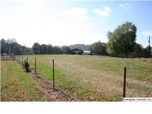 4920 Washington Valley Road Springville, AL 35146 - Photo 16 of 22