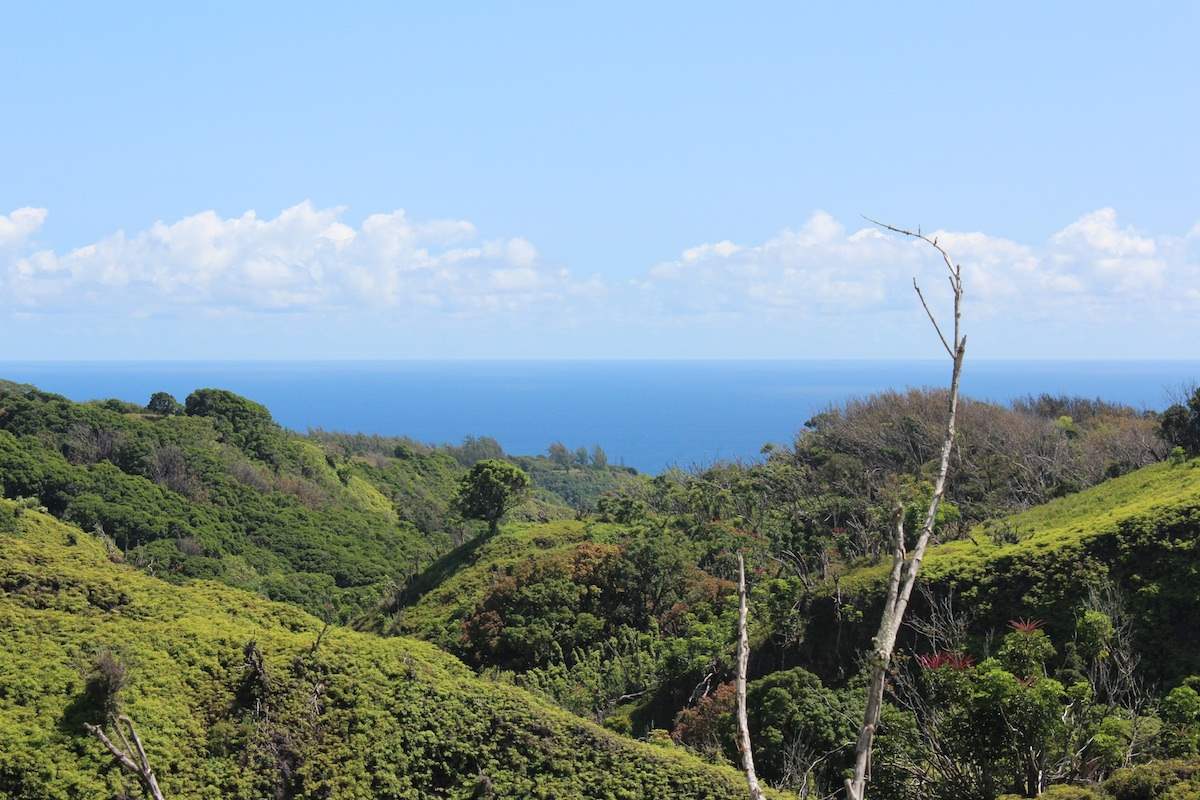 0 Burns Road Haiku, HI 96708 - Photo 1 of 1 a view of a city with lush green forest