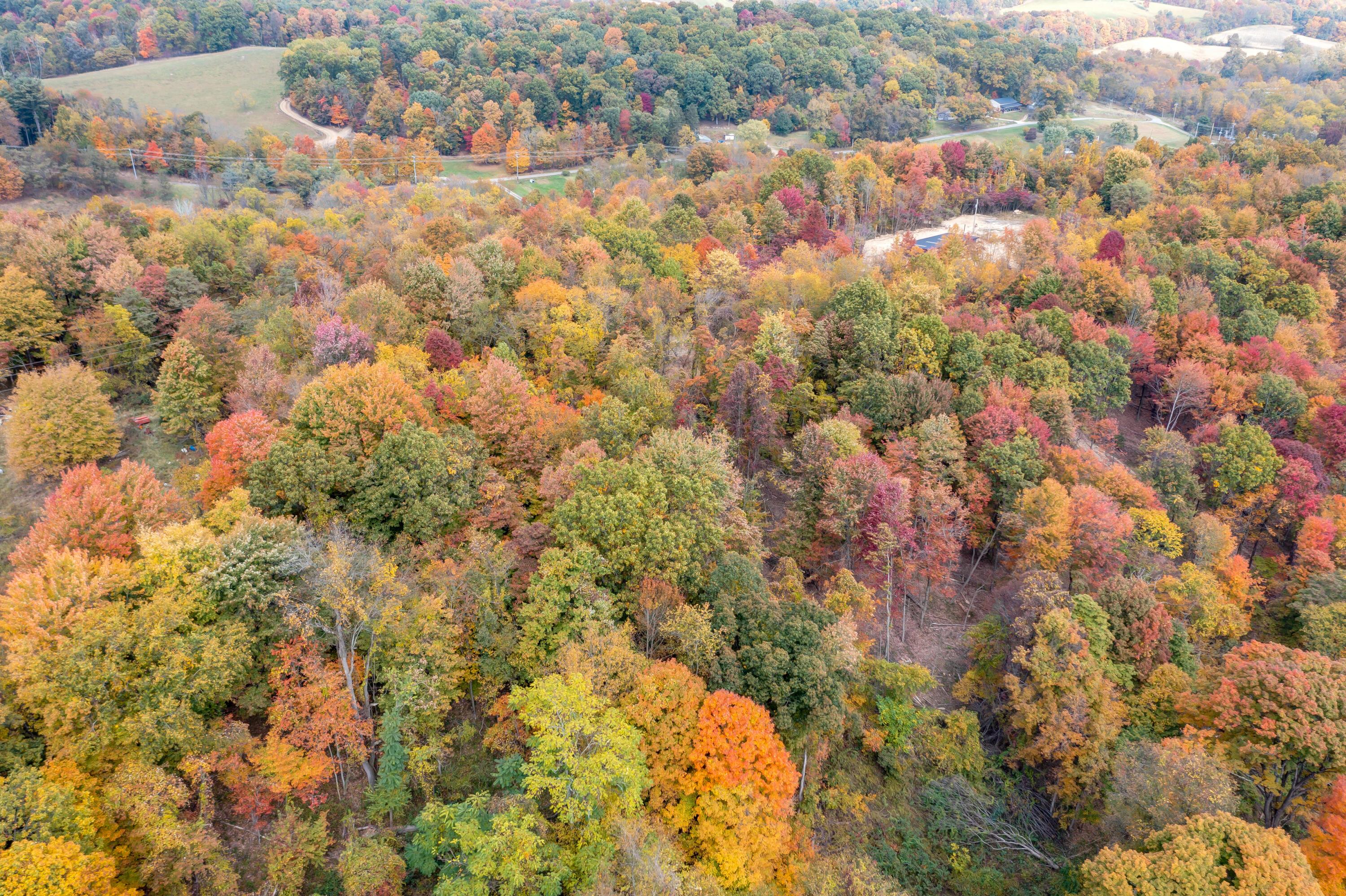 13470 Dodds Road Southeast Newark, OH 43056 - Photo 48 of 53 13470DoddsRd-Aerial-15