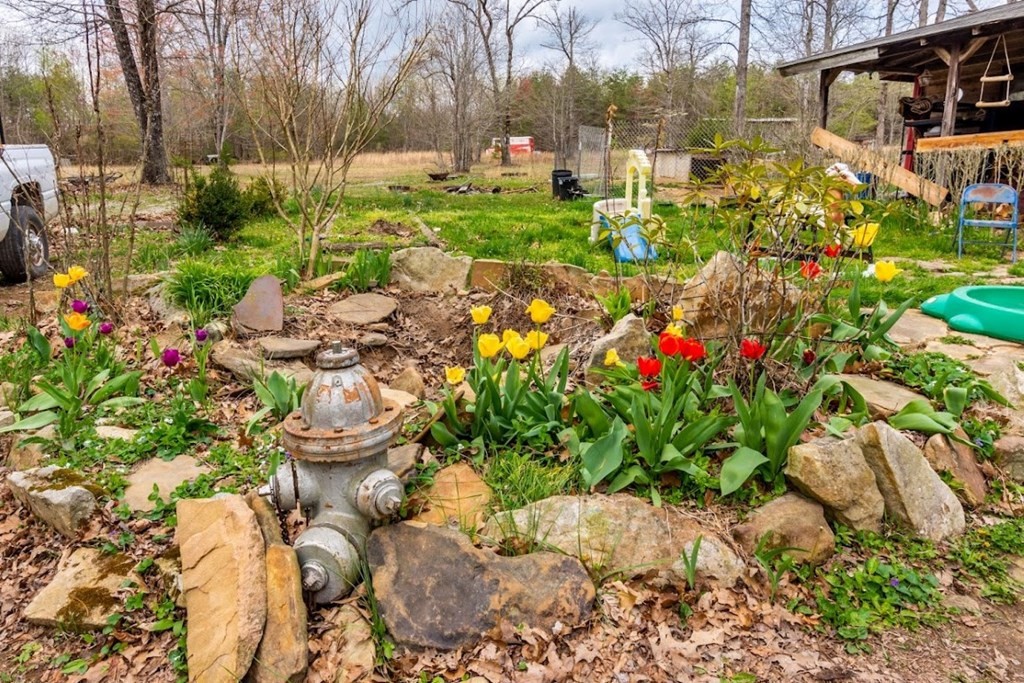 91 Dustin Road Spring City, TN 37381 - Photo 17 of 28 Gallery Image 17