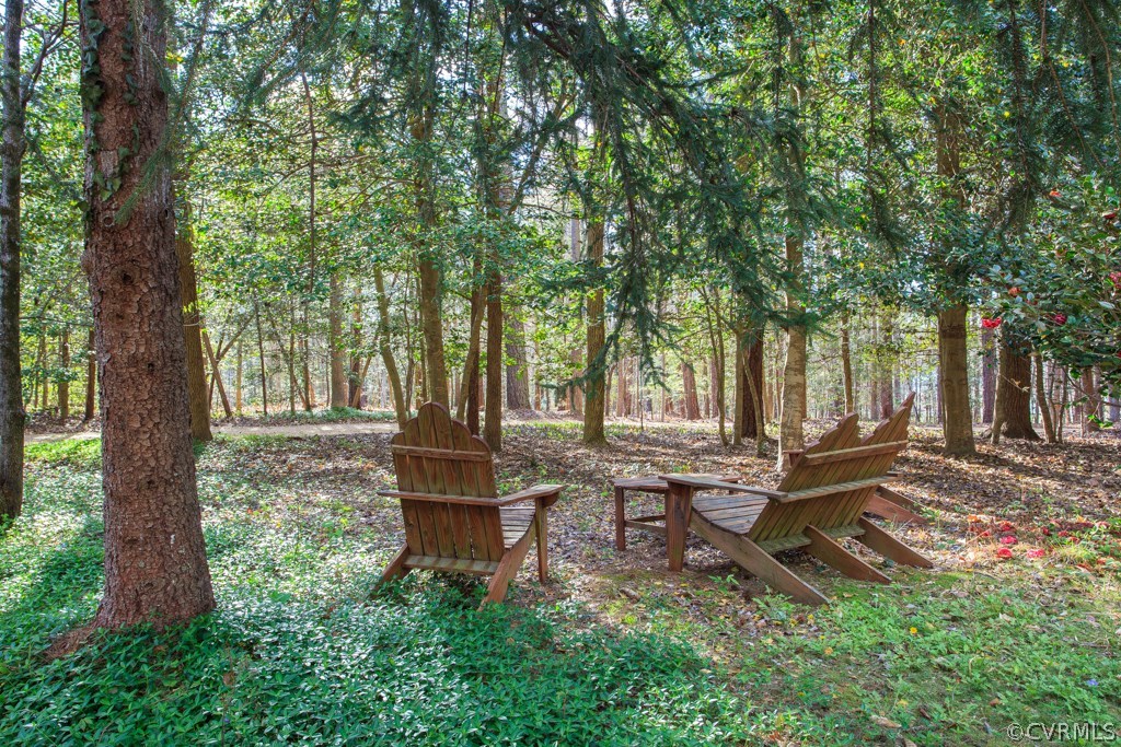 6721 Greenyard Road Chester, VA 23831 - Photo 26 of 46