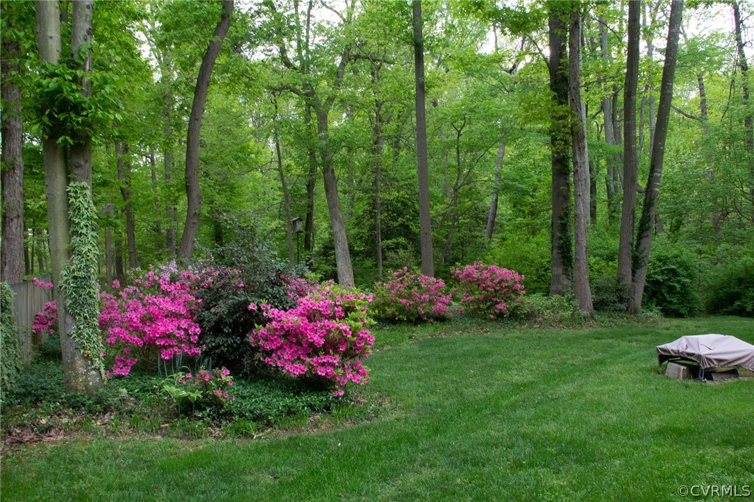 504 Rivers Bend Circle Chester, VA 23836 - Photo 40 of 50 a view of a garden and swimming pool
