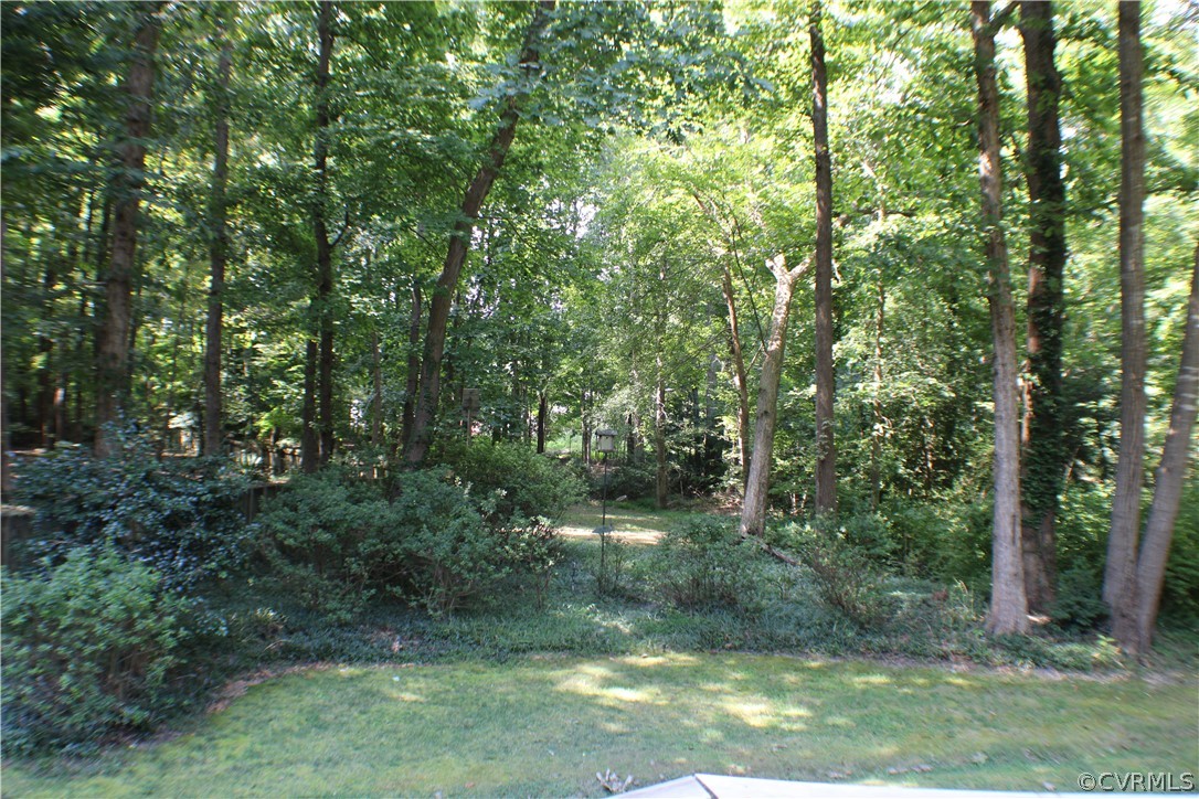 504 Rivers Bend Circle Chester, VA 23836 - Photo 41 of 50 a view of outdoor space and green space