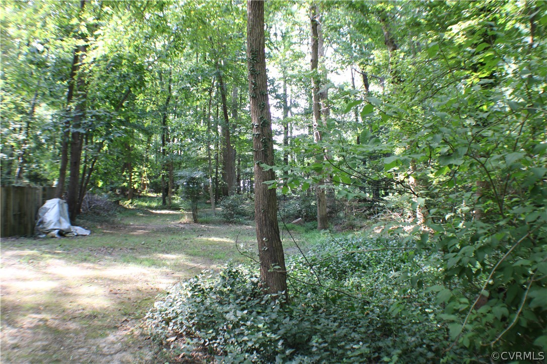 504 Rivers Bend Circle Chester, VA 23836 - Photo 46 of 50 a view of a yard with a tree