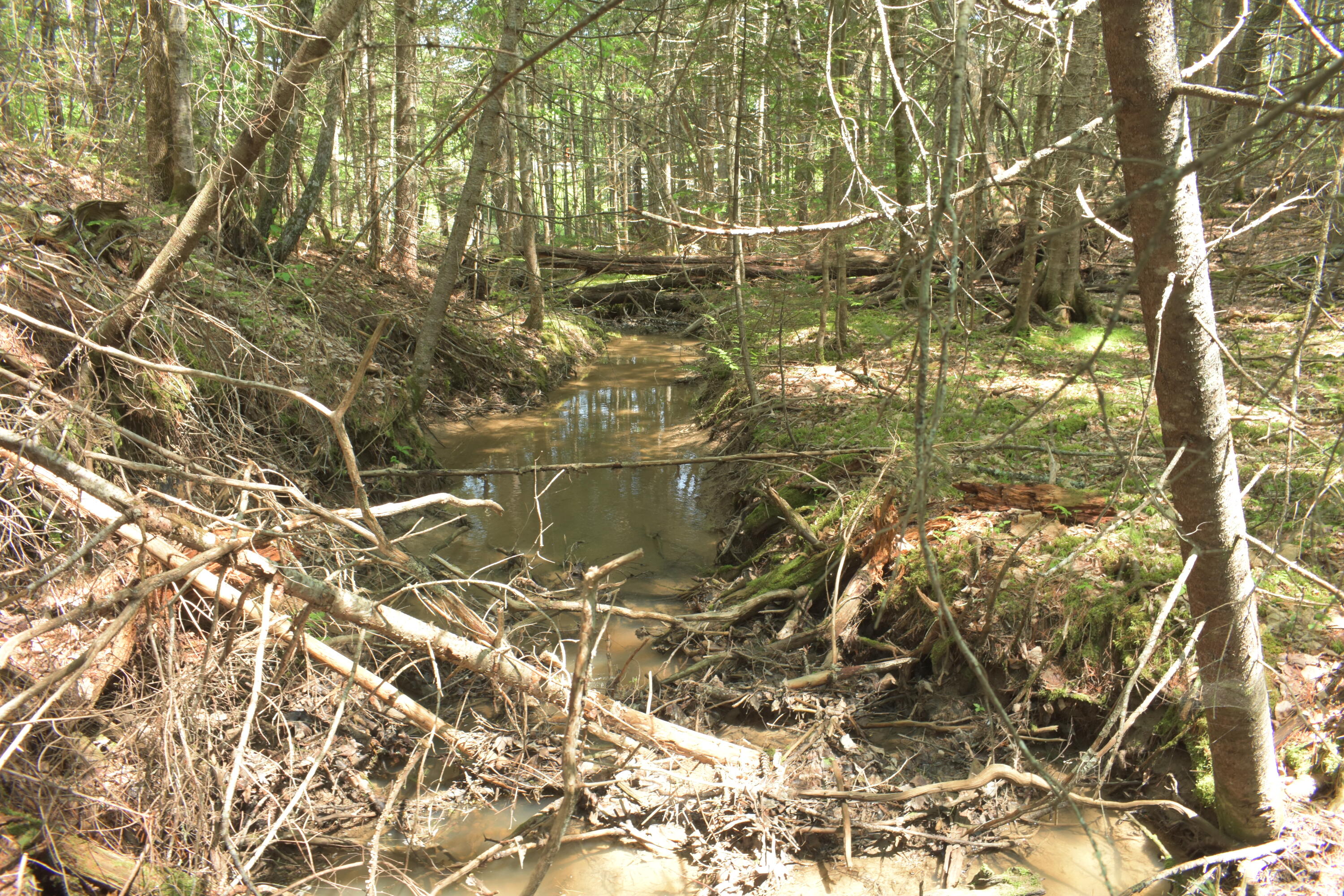 Lot 3-2 Milbridge Road Cherryfield, ME 04622 - Photo 11 of 17 Small stream on property