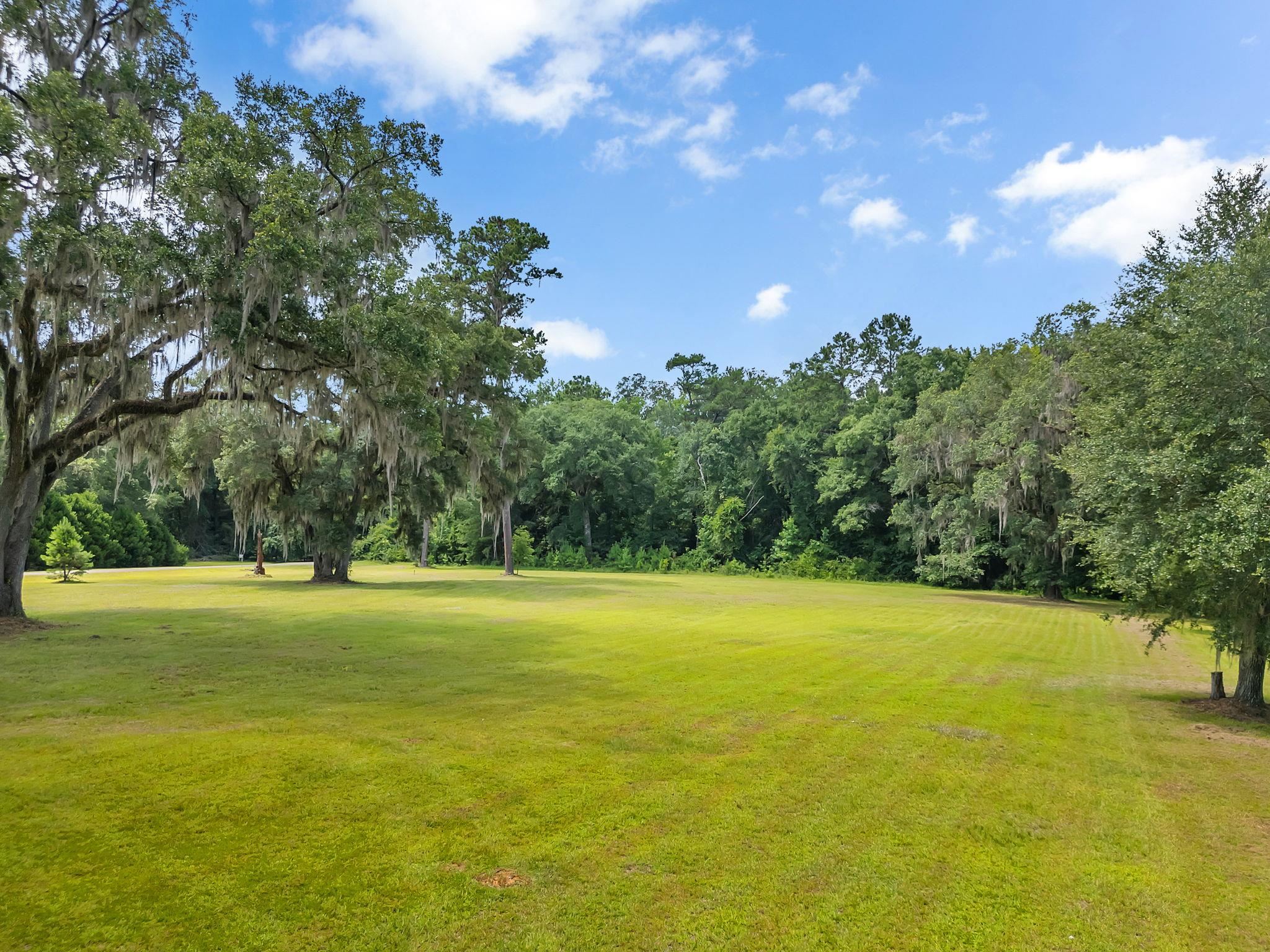 0 Old Chemonie Road Tallahassee, FL 32309 - Photo 11 of 11 Gallery Image 11