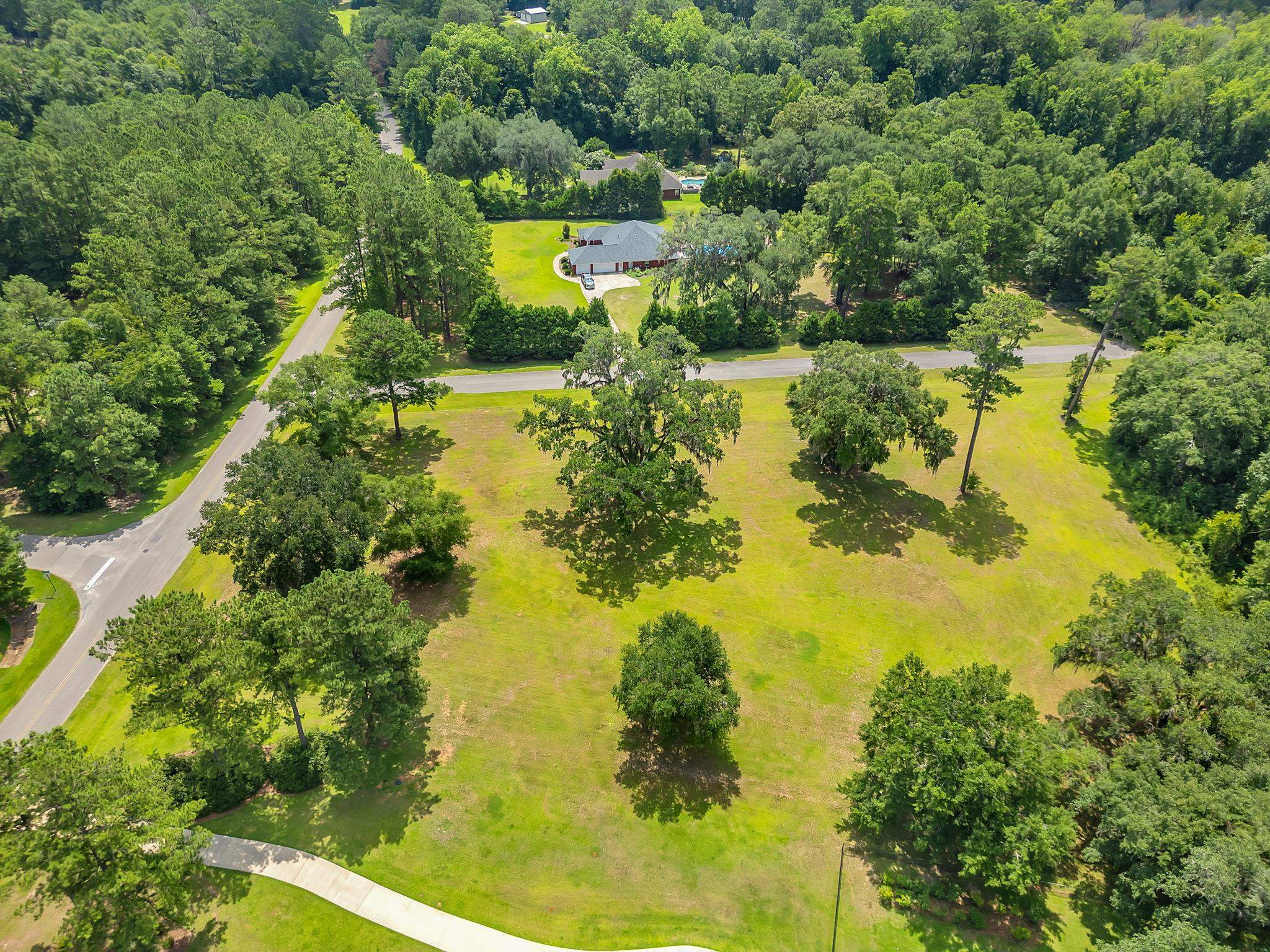 0 Old Chemonie Road Tallahassee, FL 32309 - Photo 3 of 11 Gallery Image 3