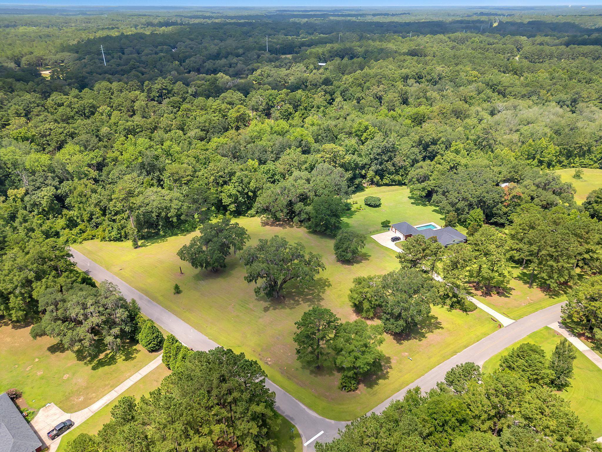 0 Old Chemonie Road Tallahassee, FL 32309 - Photo 6 of 11 Gallery Image 6