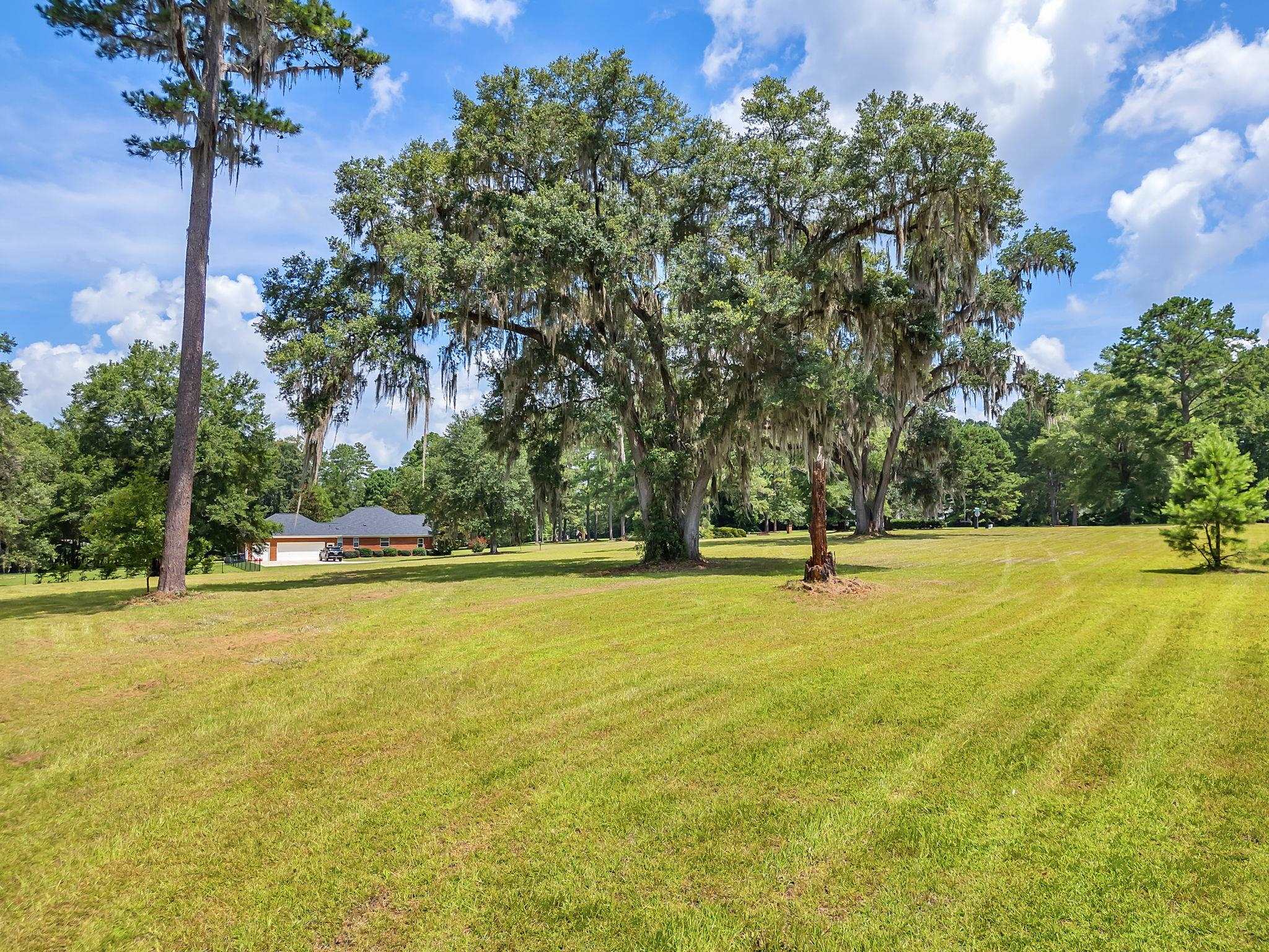 0 Old Chemonie Road Tallahassee, FL 32309 - Photo 8 of 11 Gallery Image 8