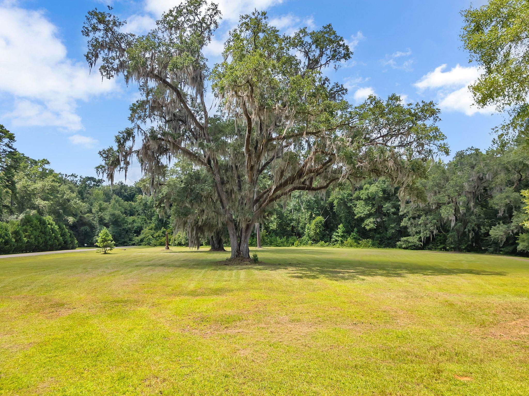 0 Old Chemonie Road Tallahassee, FL 32309 - Photo 9 of 11 Gallery Image 9