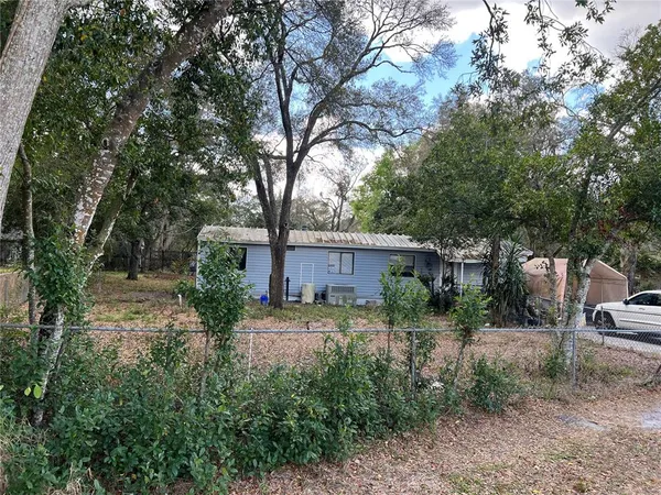 a backyard of a house with plants and large tree