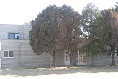 Primary Photo