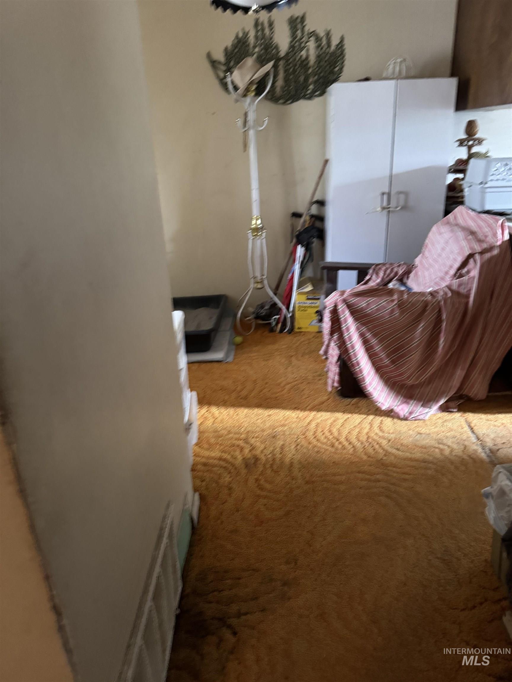 416 North 2nd Street Nyssa, OR 97913 - Photo 24 of 24 Washroom featuring carpet floors
