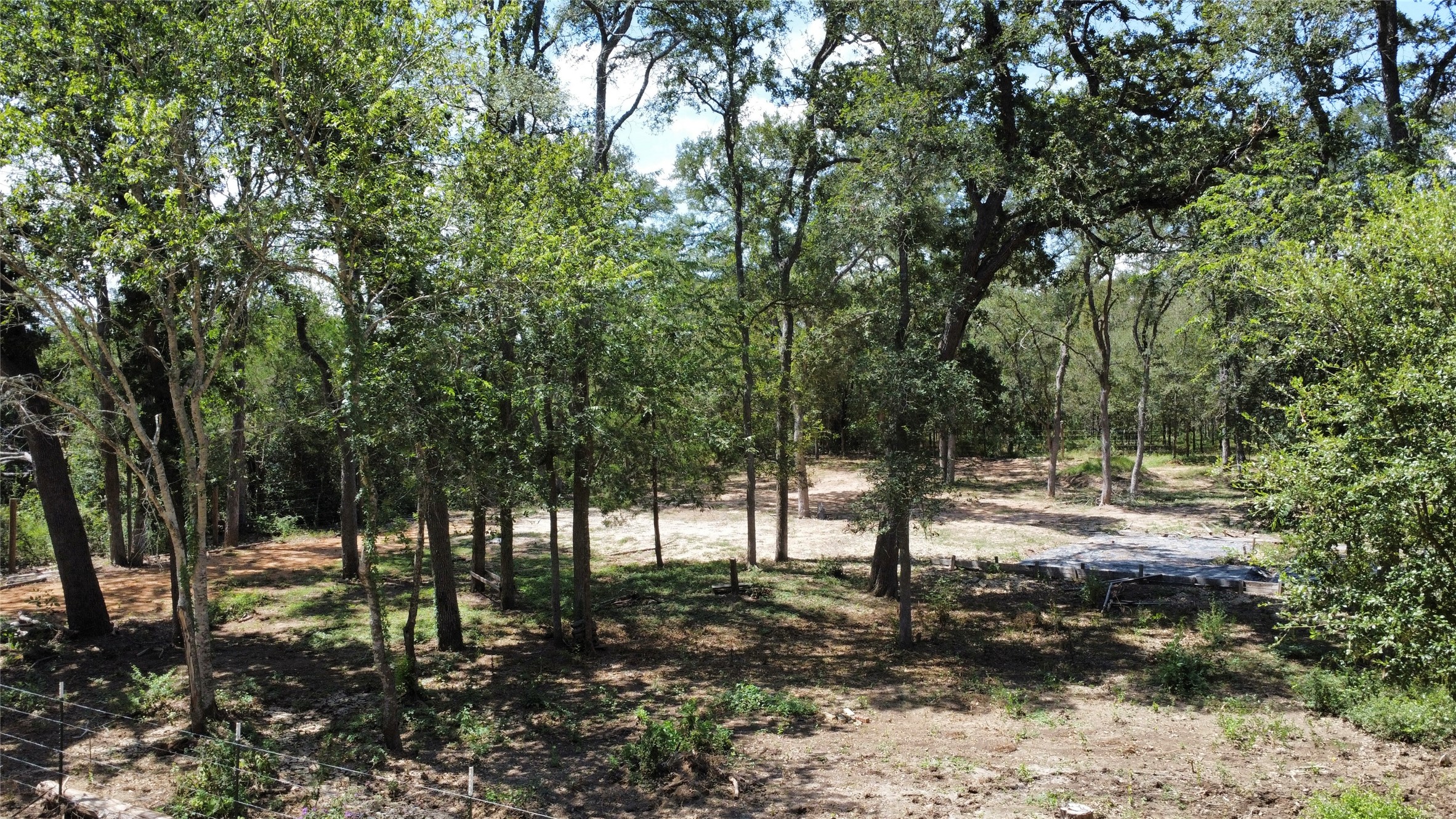 959 Carter Road Dale, TX 78616 - Photo 11 of 20 Mature trees frame a spacious, partially cleared building site ready for development.