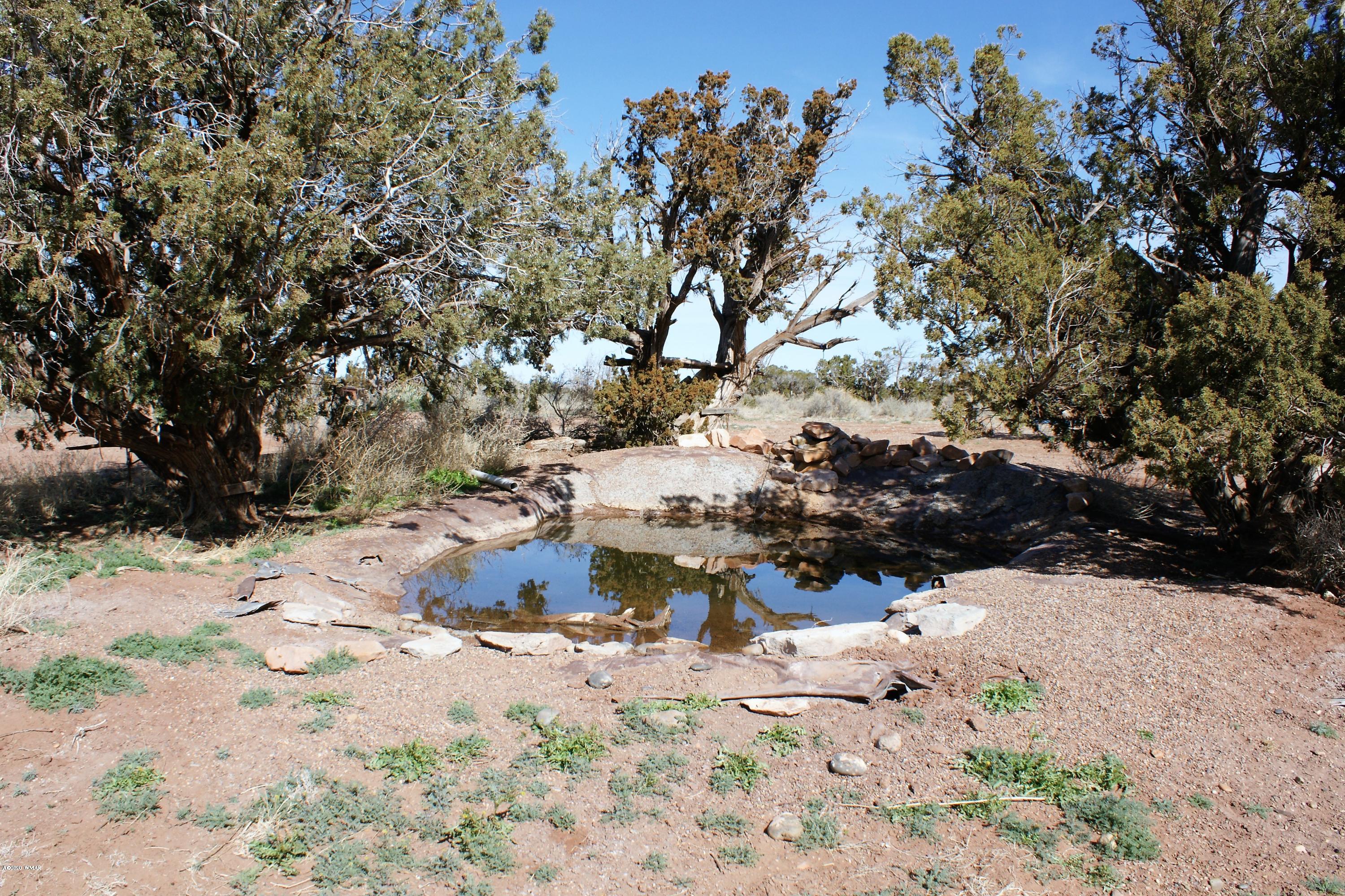 9056 Cupples Trail Snowflake, AZ 85937 - Photo 41 of 45 Gallery Image 41