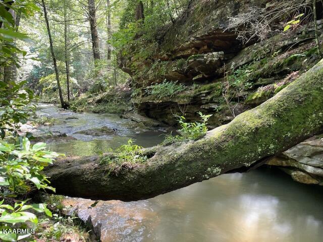 607 Hatler Road Crossville, TN 38555 - Photo 56 of 60 IMG_0640 (002)