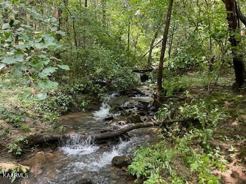 607 Hatler Road Crossville, TN 38555 - Photo 58 of 60 IMG_0634 (002)