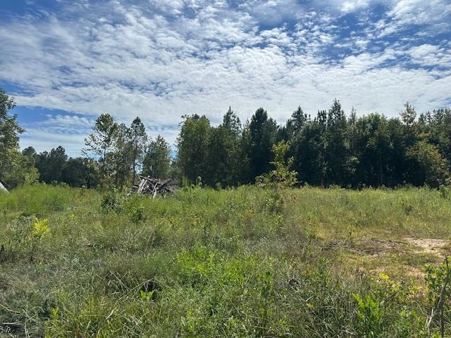 698 West Main Street Adamsville, TN 38310 - Photo 1 of 10 View of undeveloped land