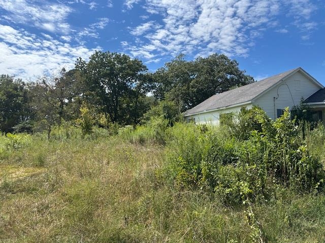 698 West Main Street Adamsville, TN 38310 - Photo 2 of 10 View of undeveloped land