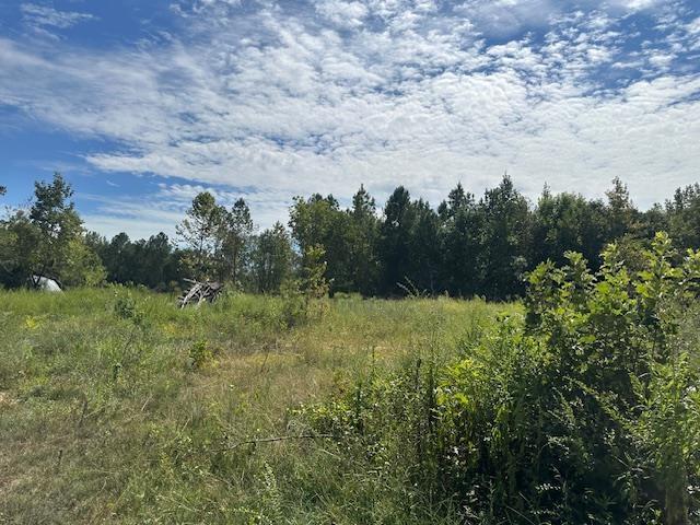 698 West Main Street Adamsville, TN 38310 - Photo 3 of 10 View of nature