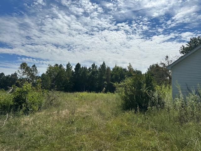 698 West Main Street Adamsville, TN 38310 - Photo 5 of 10 View of undeveloped land