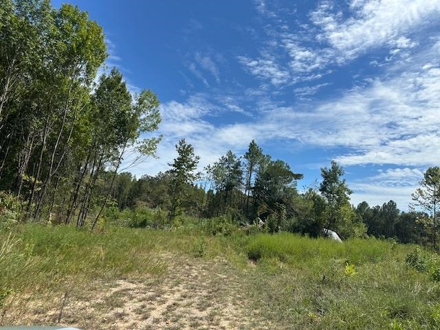 698 West Main Street Adamsville, TN 38310 - Photo 7 of 10 View of wooded area