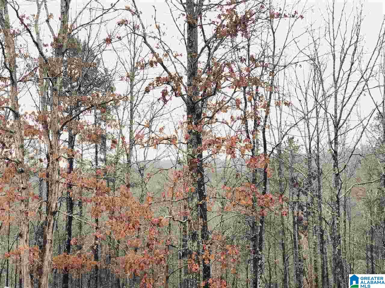 30899 Highway 431 Heflin, AL 36264 - Photo 30 of 42