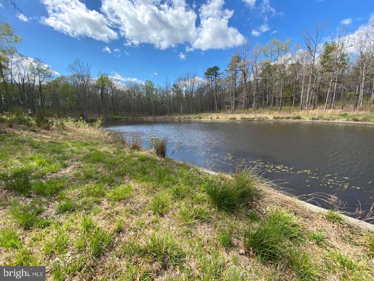 663 Old County Road Mineral, VA 23117 - Photo 2 of 68