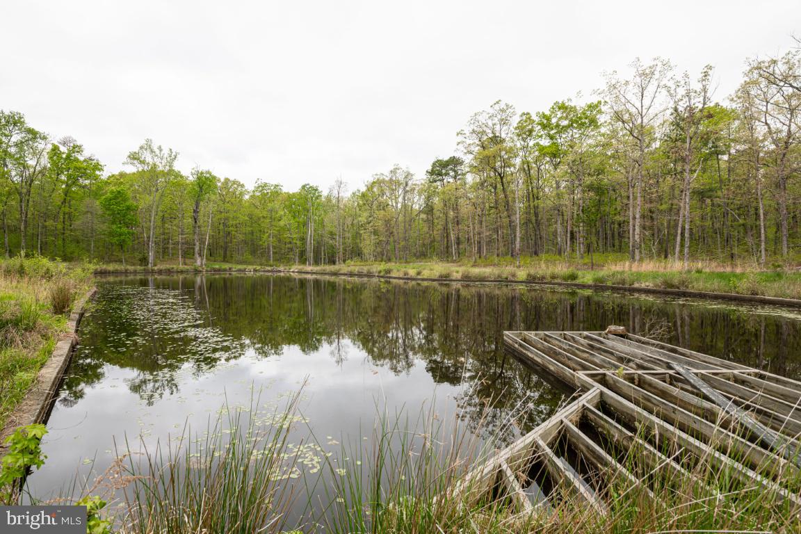 663 Old County Road Mineral, VA 23117 - Photo 61 of 68