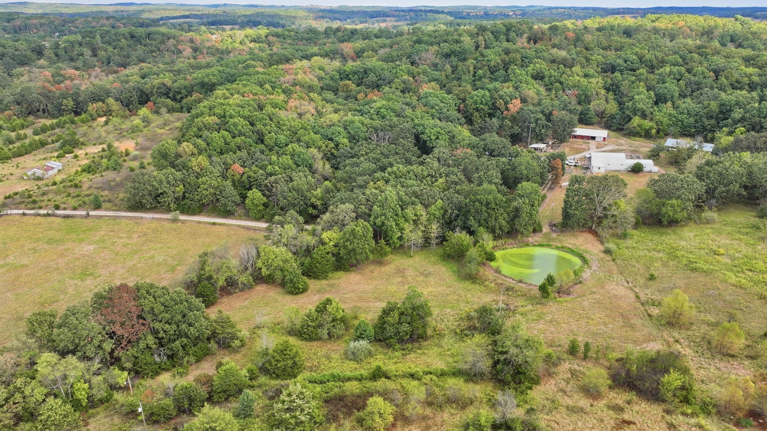 1804 Bluebird Road Cabool, MO 65689 - Photo 9 of 90 dji_0085