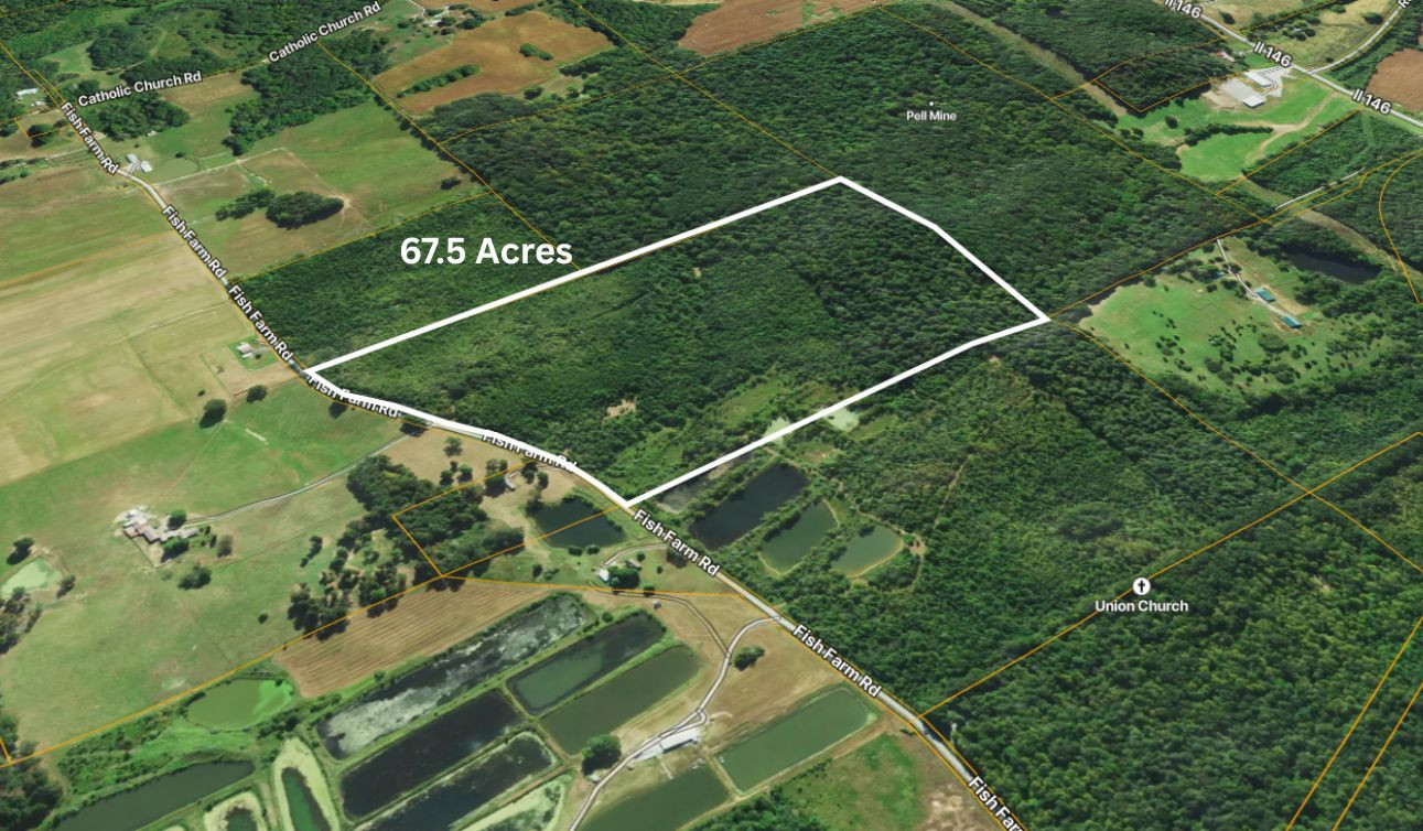 70 Fish Farm Road Golconda, IL 62938 - Photo 4 of 19