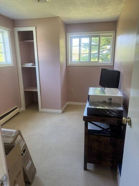 486 Lower Detroit Road Plymouth, ME 04969 - Photo 20 of 33 IMG_3347