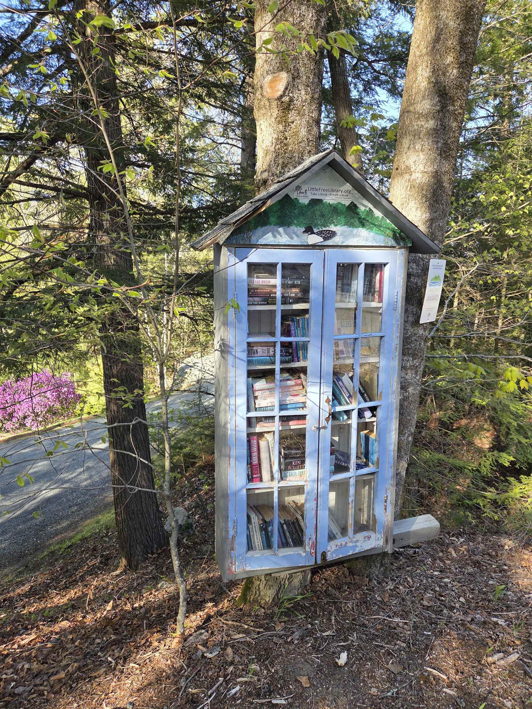 93 Algonquin Road Enfield, NH 03748 - Photo 60 of 60