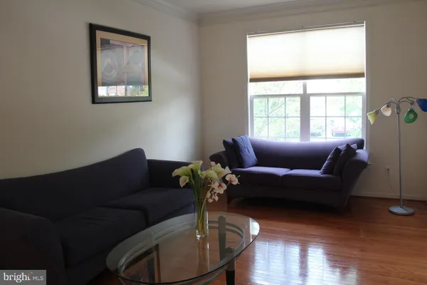 a living room with furniture potted plant and window