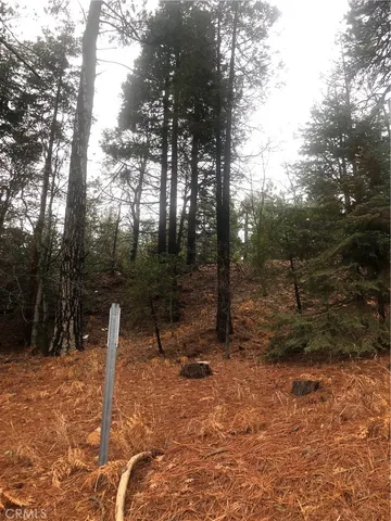 a view of outdoor space with trees