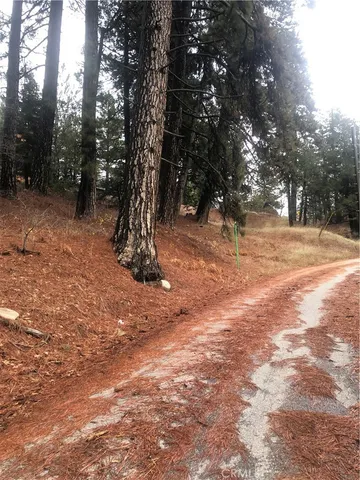 a view of outdoor space with trees