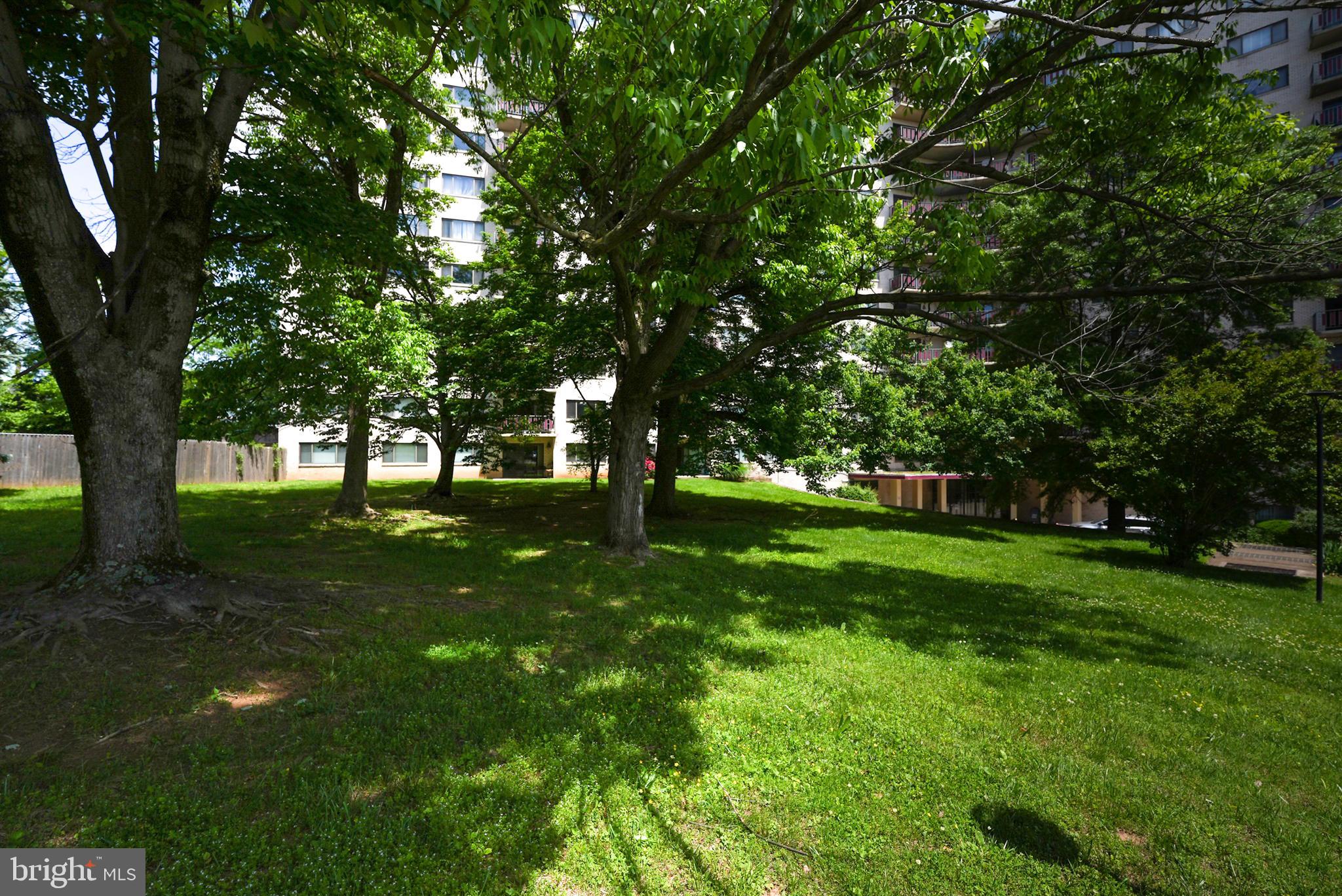 8830 Piney Branch Road, Unit 410 Silver Spring, MD 20903 - Photo 24 of 29 Gallery Image 24