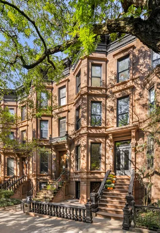 a view of a dining room with furniture and a potted plant