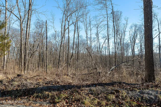 $42,000 | Valley View Road, Crossville, TN 38572