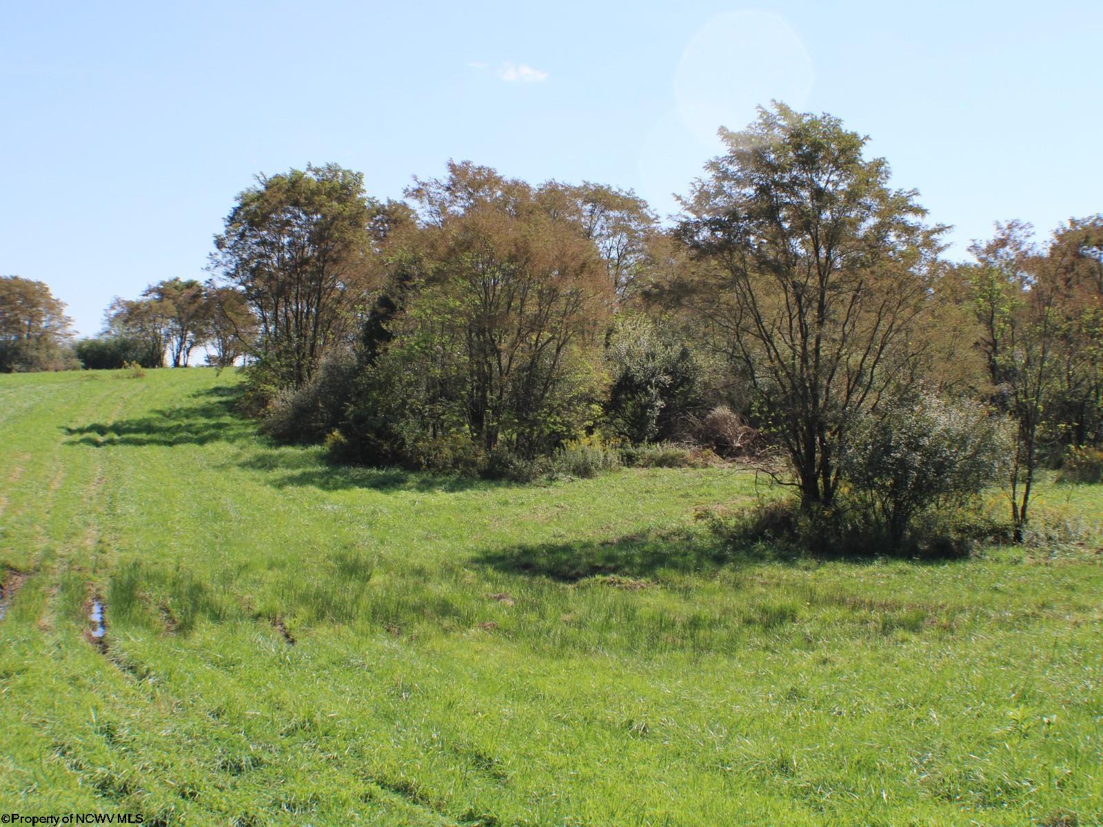 46.959-acres Beech Run Road Albright, WV 26519 - Photo 9 of 29 Gallery Image 9