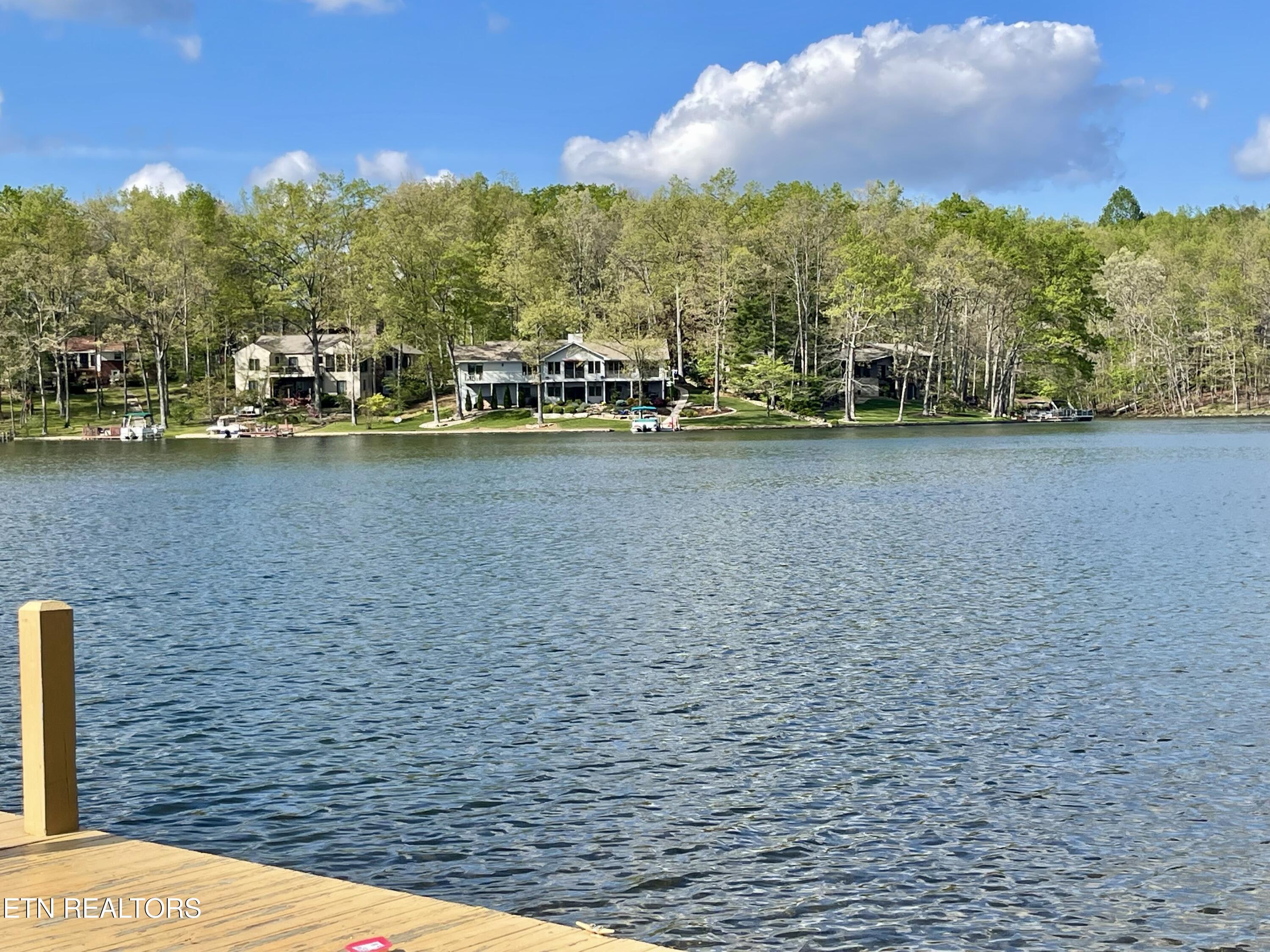 111 Rutgers Circle Crossville, TN 38558 - Photo 3 of 5 Fish from the Dock