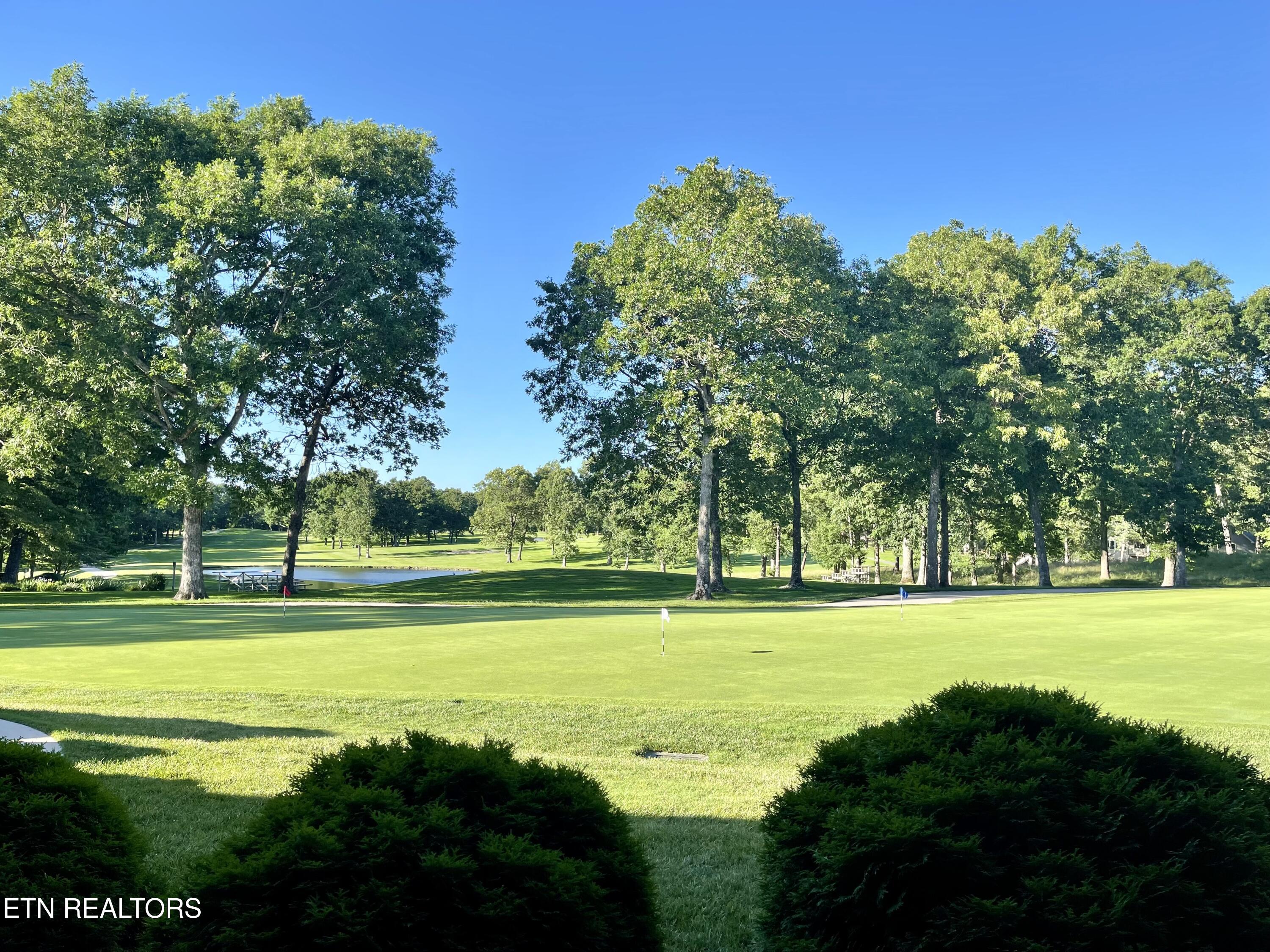 111 Rutgers Circle Crossville, TN 38558 - Photo 4 of 5 If you love to Golf