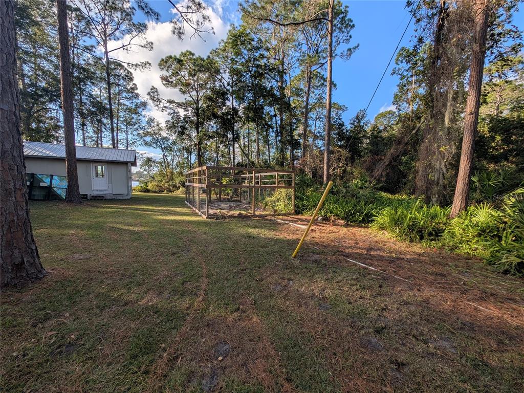 161 Riley Lake Drive Hawthorne, FL 32640 - Photo 16 of 48 Gallery Image 16