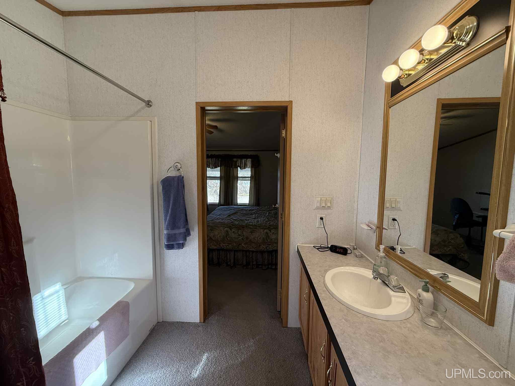 12534 Railroad Street Shingleton, MI 49884 - Photo 30 of 61