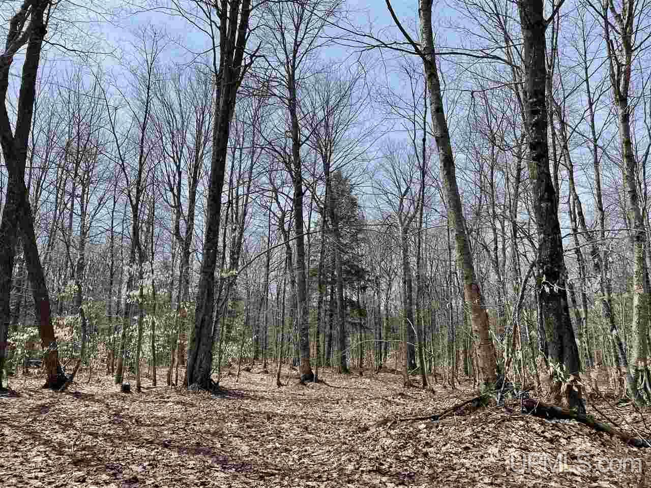 0 Old Seney Road Seney, MI 49883 - Photo 29 of 31