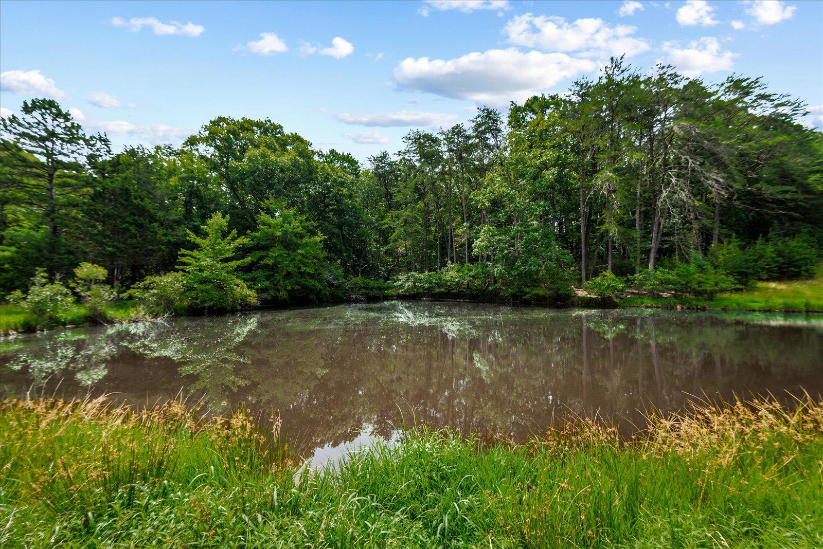 31934 Indiantown Road Locust Grove, VA 22508 - Photo 5 of 84 Pond