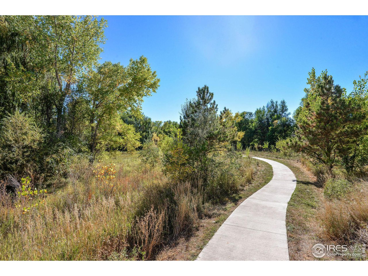 1221 East Prospect Road, Unit 5 Fort Collins, CO 80525 - Photo 32 of 38 Spring Creek Trail
