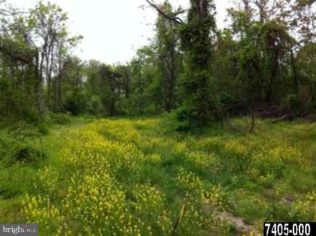 2695 York Haven Road, Unit 3 Manchester, PA 17345 - Photo 3 of 3 Gallery Image 3