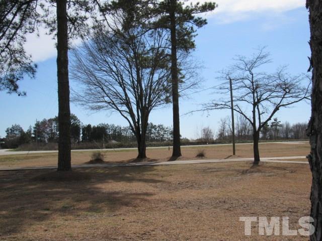 2695 Johnston County Road Angier, NC 27501 - Photo 21 of 25 a view of outdoor space with lots of trees